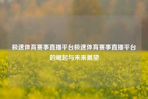 极速体育赛事直播平台极速体育赛事直播平台的崛起与未来展望