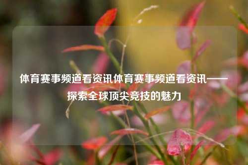 体育赛事频道看资讯体育赛事频道看资讯——探索全球顶尖竞技的魅力
