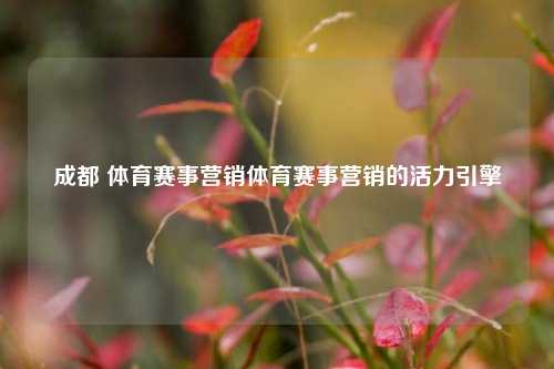 成都 体育赛事营销体育赛事营销的活力引擎