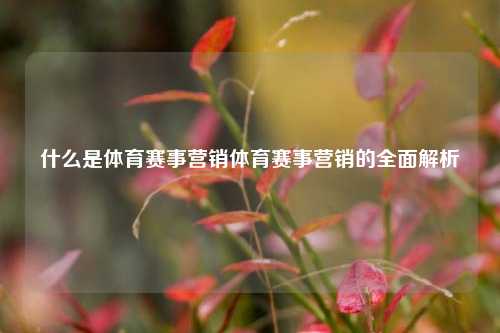 什么是体育赛事营销体育赛事营销的全面解析