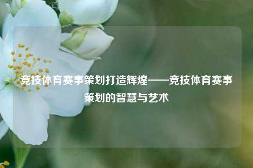 竞技体育赛事策划打造辉煌——竞技体育赛事策划的智慧与艺术