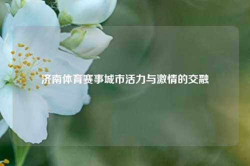 济南体育赛事城市活力与激情的交融