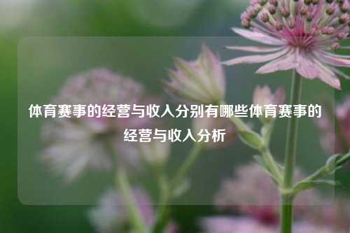 体育赛事的经营与收入分别有哪些体育赛事的经营与收入分析