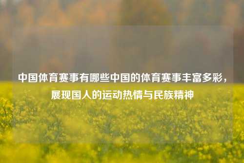 中国体育赛事有哪些中国的体育赛事丰富多彩，展现国人的运动热情与民族精神