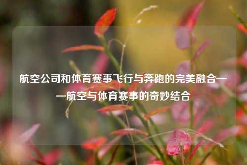 航空公司和体育赛事飞行与奔跑的完美融合——航空与体育赛事的奇妙结合