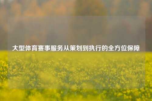 大型体育赛事服务从策划到执行的全方位保障