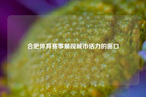 合肥体育赛事展现城市活力的窗口
