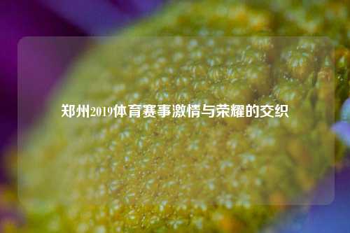郑州2019体育赛事激情与荣耀的交织