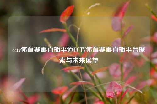 cctv体育赛事直播平道CCTV体育赛事直播平台探索与未来展望
