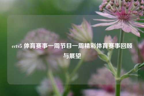 cctv5 体育赛事一周节目一周精彩体育赛事回顾与展望
