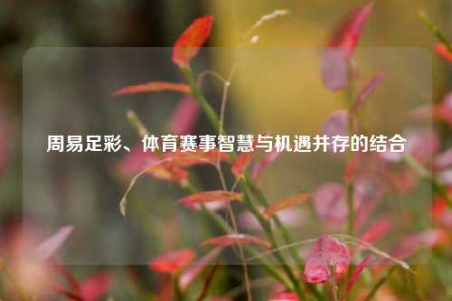 周易足彩、体育赛事智慧与机遇并存的结合