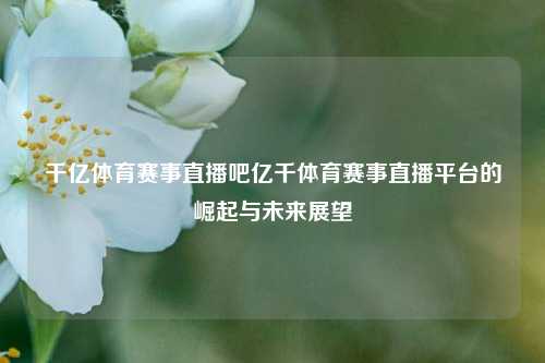 千亿体育赛事直播吧亿千体育赛事直播平台的崛起与未来展望