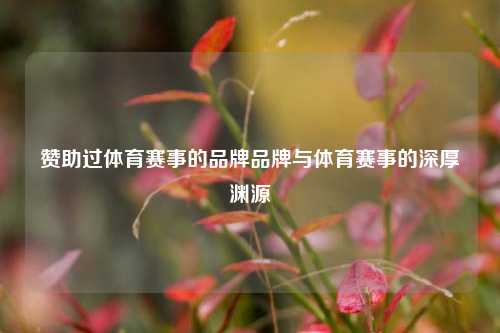 赞助过体育赛事的品牌品牌与体育赛事的深厚渊源