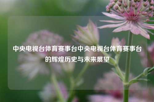 中央电视台体育赛事台中央电视台体育赛事台的辉煌历史与未来展望
