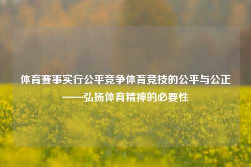 体育赛事实行公平竞争体育竞技的公平与公正——弘扬体育精神的必要性