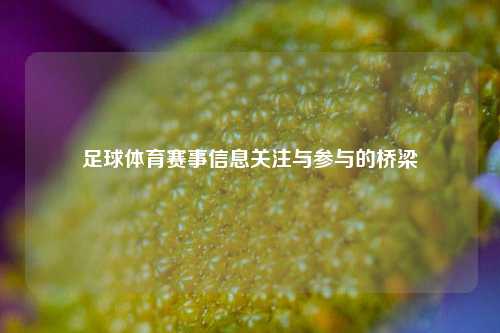 足球体育赛事信息关注与参与的桥梁