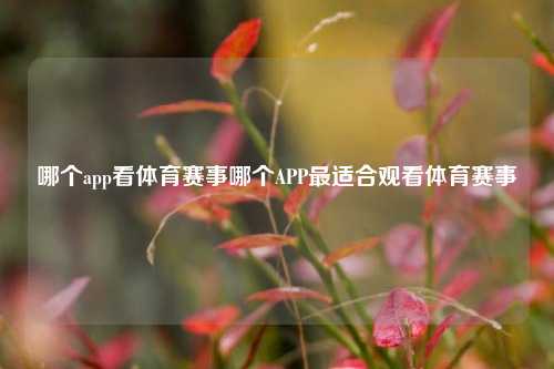 哪个app看体育赛事哪个APP最适合观看体育赛事