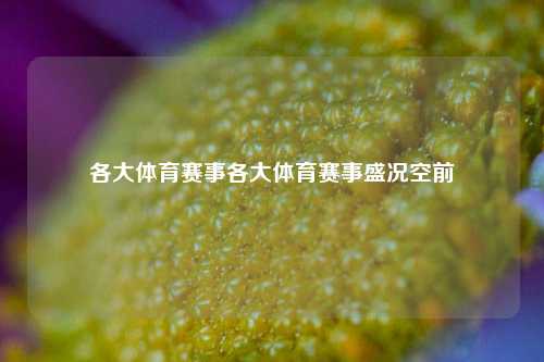 各大体育赛事各大体育赛事盛况空前