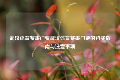 武汉体育赛事门票武汉体育赛事门票的购买指南与注意事项