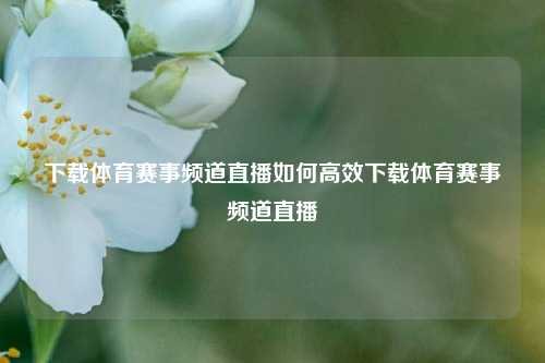 下载体育赛事频道直播如何高效下载体育赛事频道直播