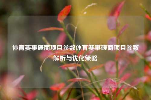 体育赛事磋商项目参数体育赛事磋商项目参数解析与优化策略