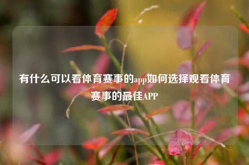 有什么可以看体育赛事的app如何选择观看体育赛事的最佳APP