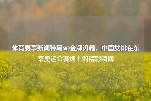 体育赛事新闻特写600金牌闪耀，中国女排在东京奥运会赛场上的精彩瞬间