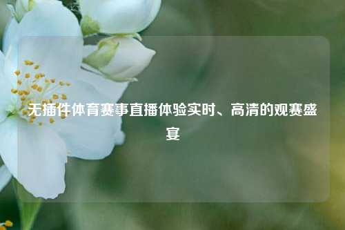 无插件体育赛事直播体验实时、高清的观赛盛宴