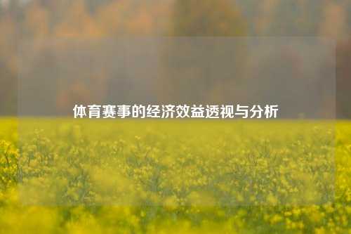 体育赛事的经济效益透视与分析