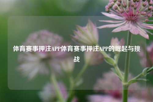 体育赛事押注APP体育赛事押注APP的崛起与挑战