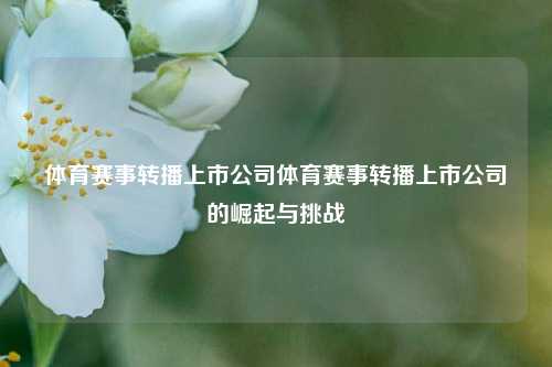 体育赛事转播上市公司体育赛事转播上市公司的崛起与挑战