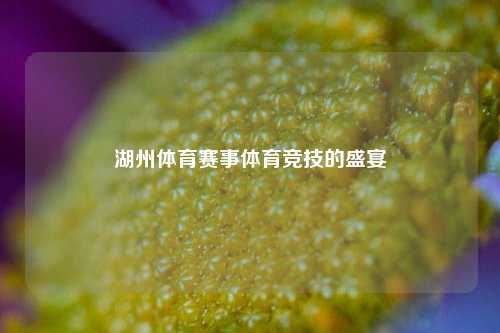 湖州体育赛事体育竞技的盛宴