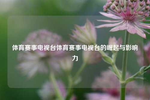 体育赛事电视台体育赛事电视台的崛起与影响力