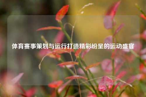 体育赛事策划与运行打造精彩纷呈的运动盛宴