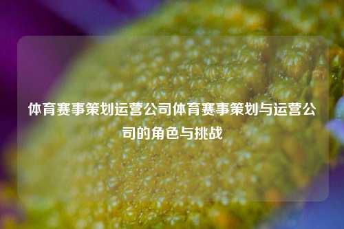 体育赛事策划运营公司体育赛事策划与运营公司的角色与挑战
