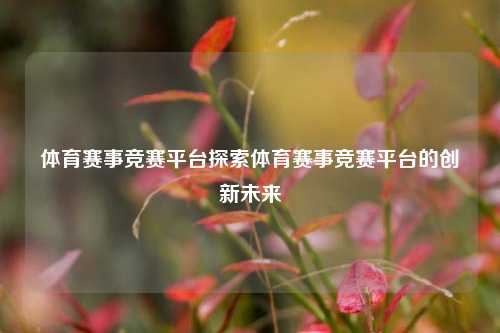 体育赛事竞赛平台探索体育赛事竞赛平台的创新未来