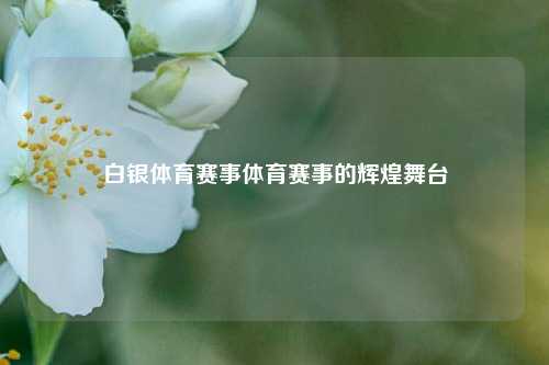 白银体育赛事体育赛事的辉煌舞台