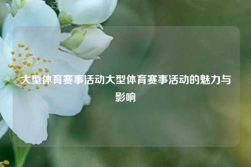 大型体育赛事活动大型体育赛事活动的魅力与影响