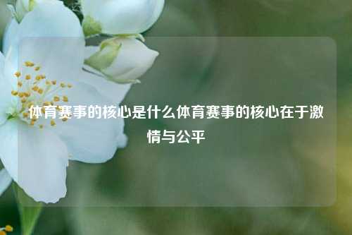体育赛事的核心是什么体育赛事的核心在于激情与公平