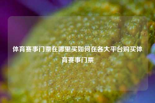体育赛事门票在哪里买如何在各大平台购买体育赛事门票