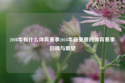 2018年有什么体育赛事2018年最重要的体育赛事回顾与展望