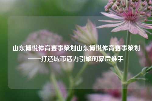 山东博悦体育赛事策划山东博悦体育赛事策划——打造城市活力引擎的幕后推手