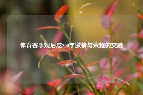 体育赛事观后感200字激情与荣耀的交融