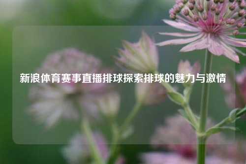 新浪体育赛事直播排球探索排球的魅力与激情