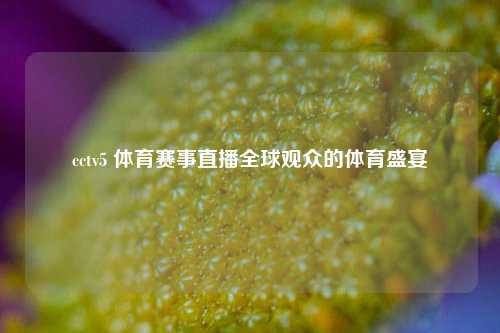 cctv5 体育赛事直播全球观众的体育盛宴
