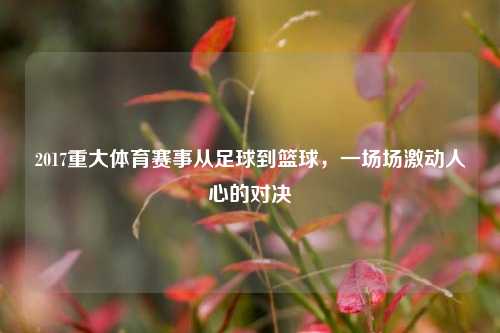 2017重大体育赛事从足球到篮球，一场场激动人心的对决