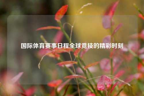 国际体育赛事日程全球竞技的精彩时刻