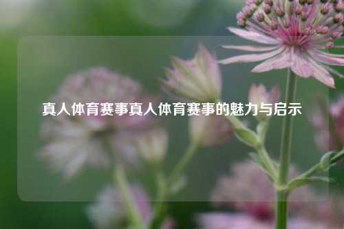 真人体育赛事真人体育赛事的魅力与启示
