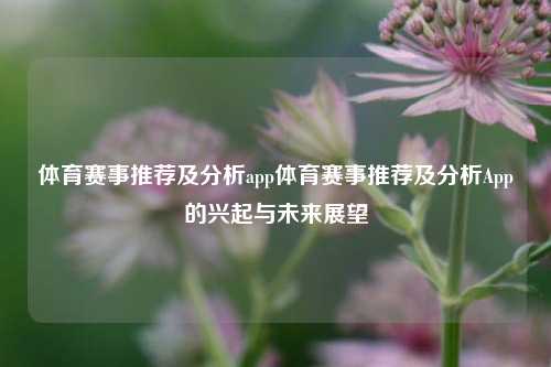 体育赛事推荐及分析app体育赛事推荐及分析App的兴起与未来展望