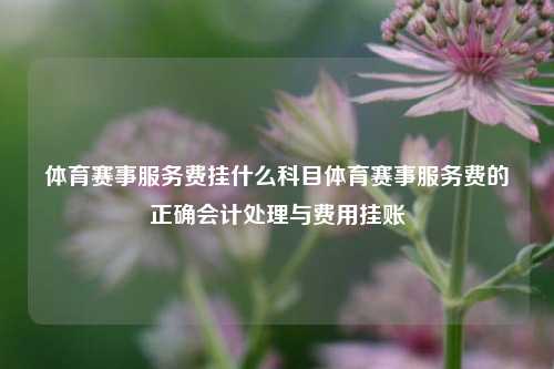 体育赛事服务费挂什么科目体育赛事服务费的正确会计处理与费用挂账